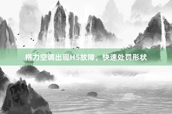 格力空调出现H5故障，快速处罚形状